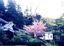 かにと日本海の幸 弓月の写真1