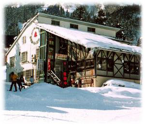 石打シーハイルロッヂの写真1