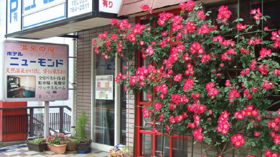 越後湯沢 ホテルニューモンドの写真1