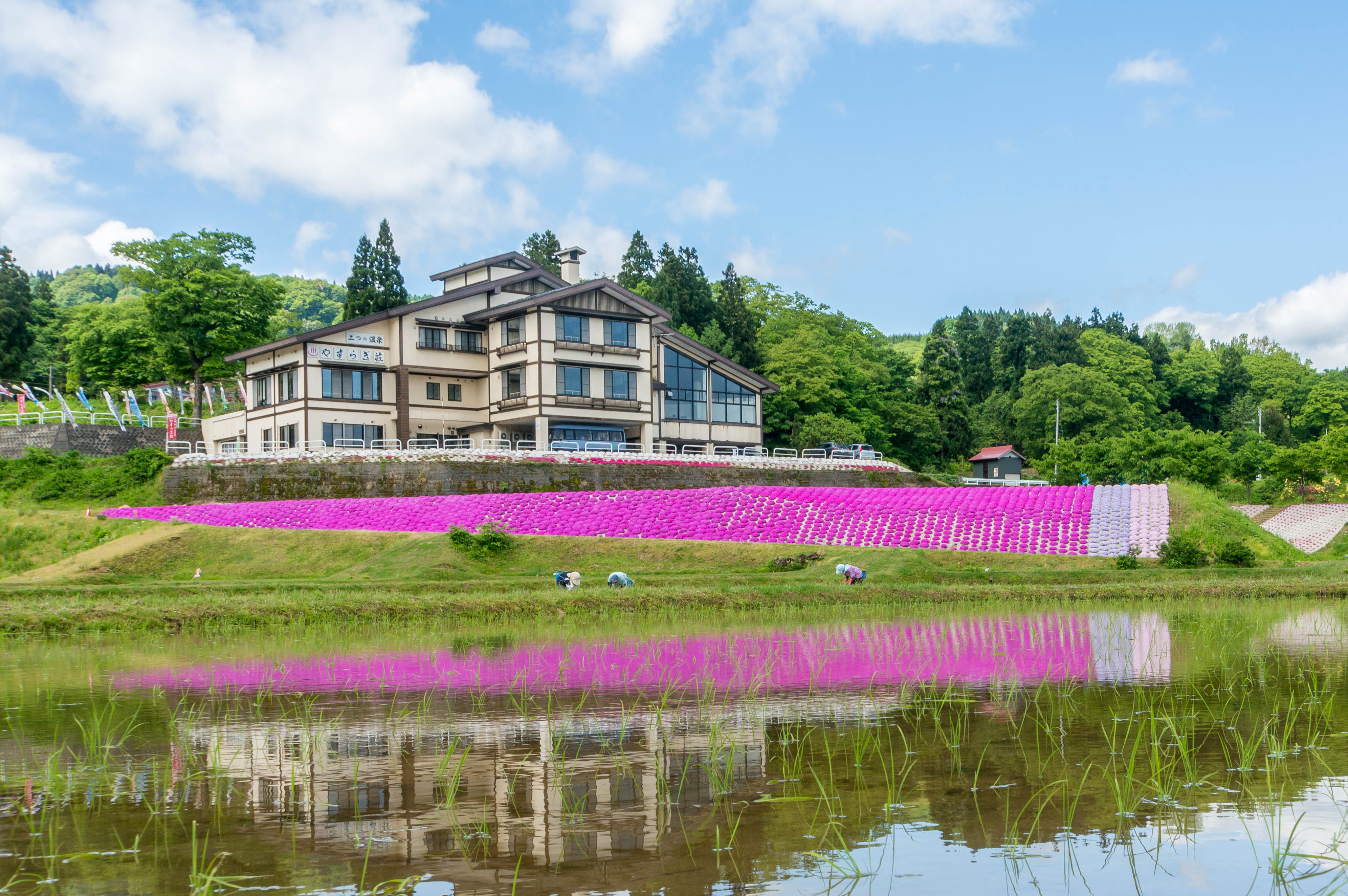 飯田温泉 ゑしんの里 やすらぎ荘の写真1