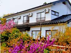 民宿 清九郎 <佐渡島>の写真1