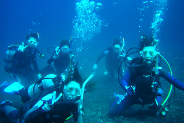 根府川ダイビングサービスの写真1