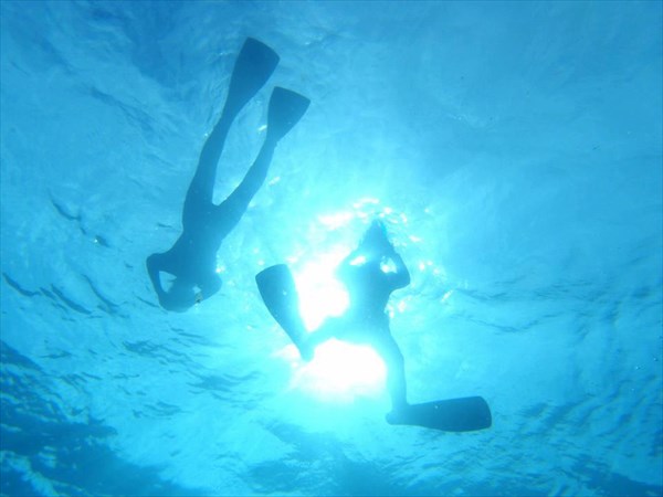 だいびんぐしょっぷ海家の写真1