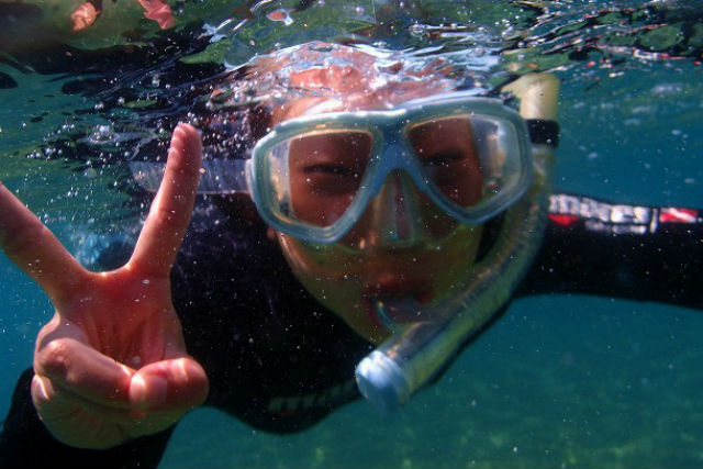 小田原ダイビングスクールの写真1