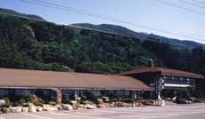 越前 雲海の写真1