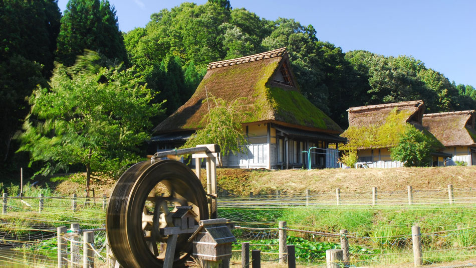 悠久ロマンの杜の写真1