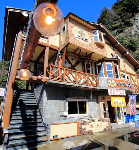 えちぜん丸太屋の写真1