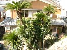 若狭常神 そてつの家の写真1