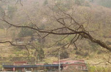 山荘 おまつりの写真1