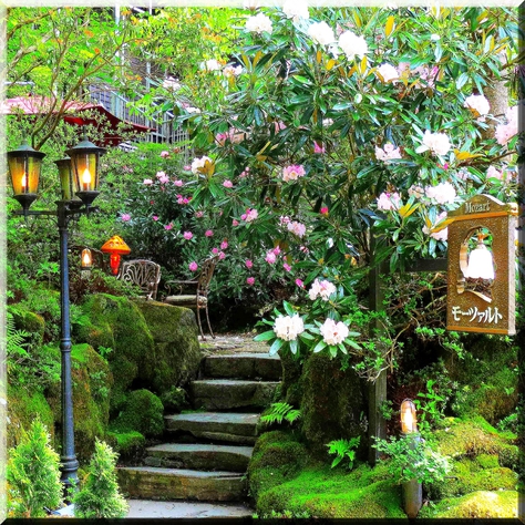 ペンション・モーツァルトの写真1