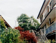 セーラー荘の写真1