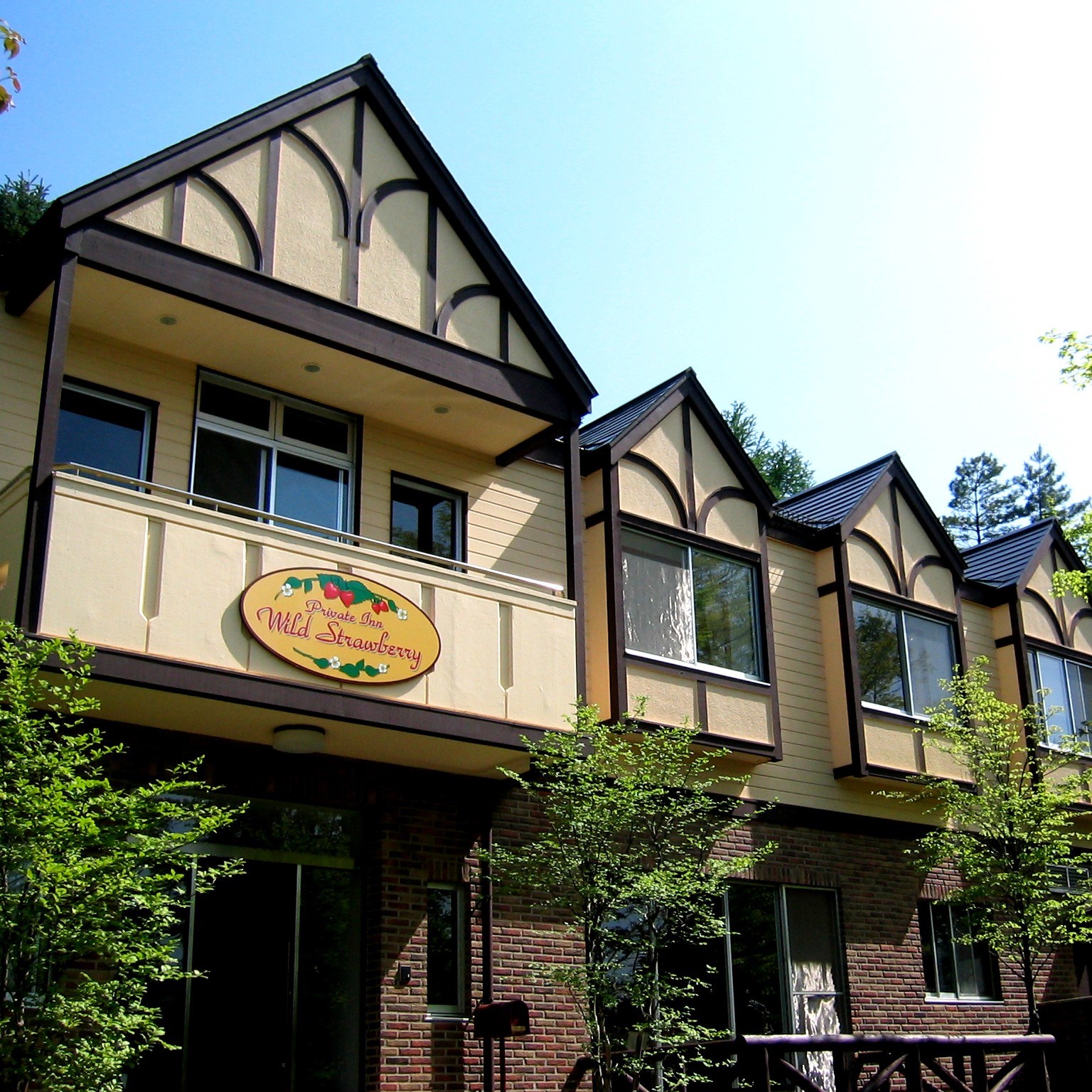 ワイルドストロベリーの写真1