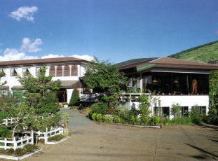 ミッチーラブの写真1