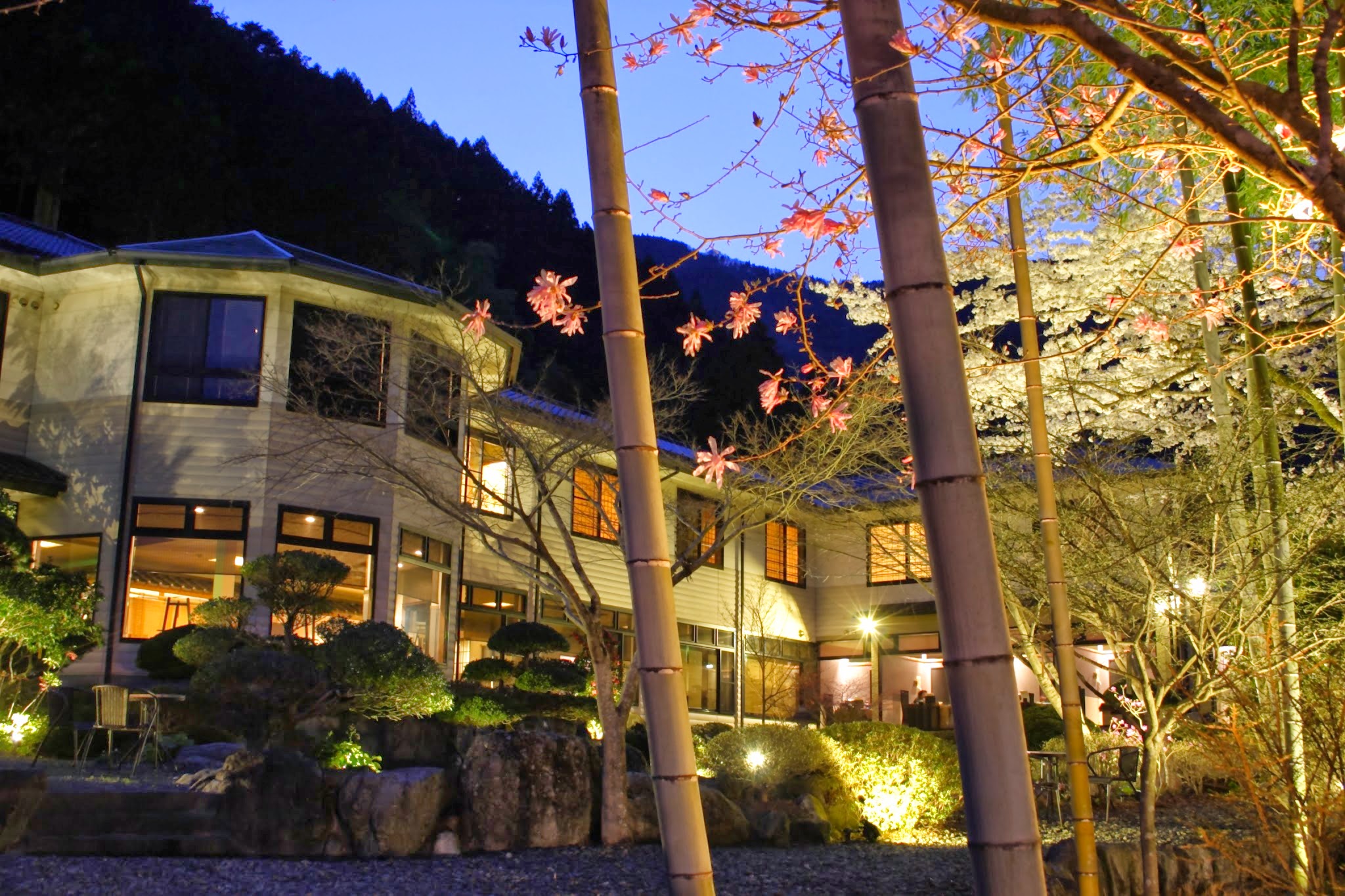 船山温泉の写真1