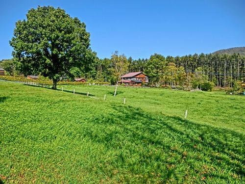 キッズペンションめーぷるの写真1