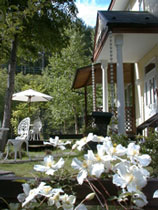 だんでらいおんの写真1