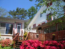 ドッグ イン ペンション バーニーズの写真1