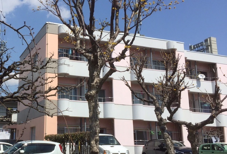 Backpackers Dorms Miwaの写真1