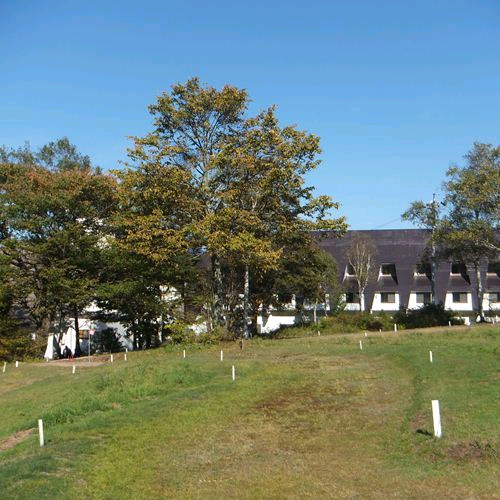 黒姫高原 展望温泉の館 ブリーズベイリゾート黒姫の写真1