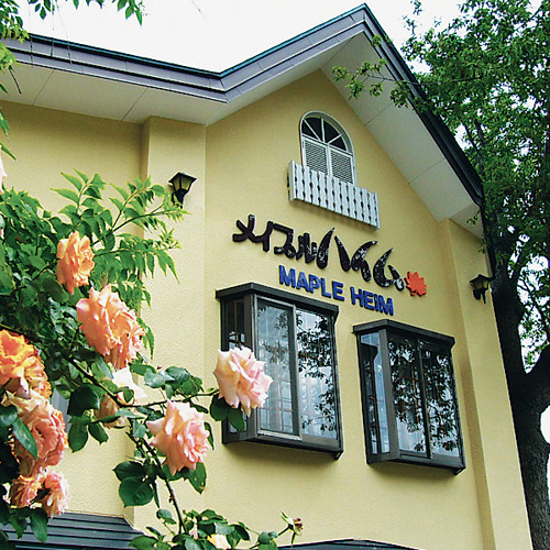メイプルハイムの写真1