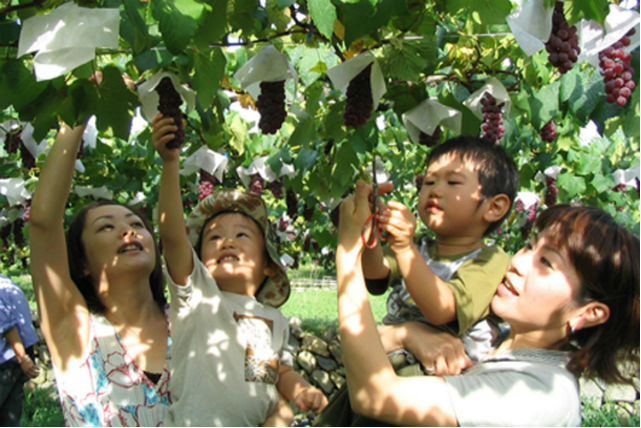 御坂農園グレープハウスの写真1