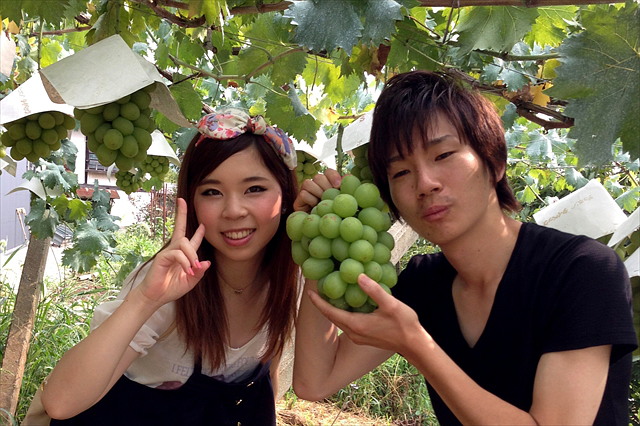 宿沢フルーツ農園の写真1