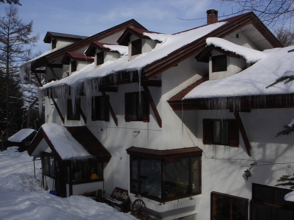 ロッヂありすの写真1