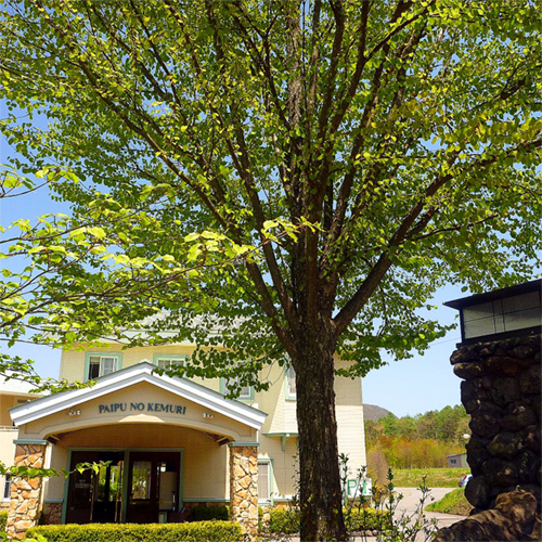 軽井沢ホテルパイプのけむりの写真1