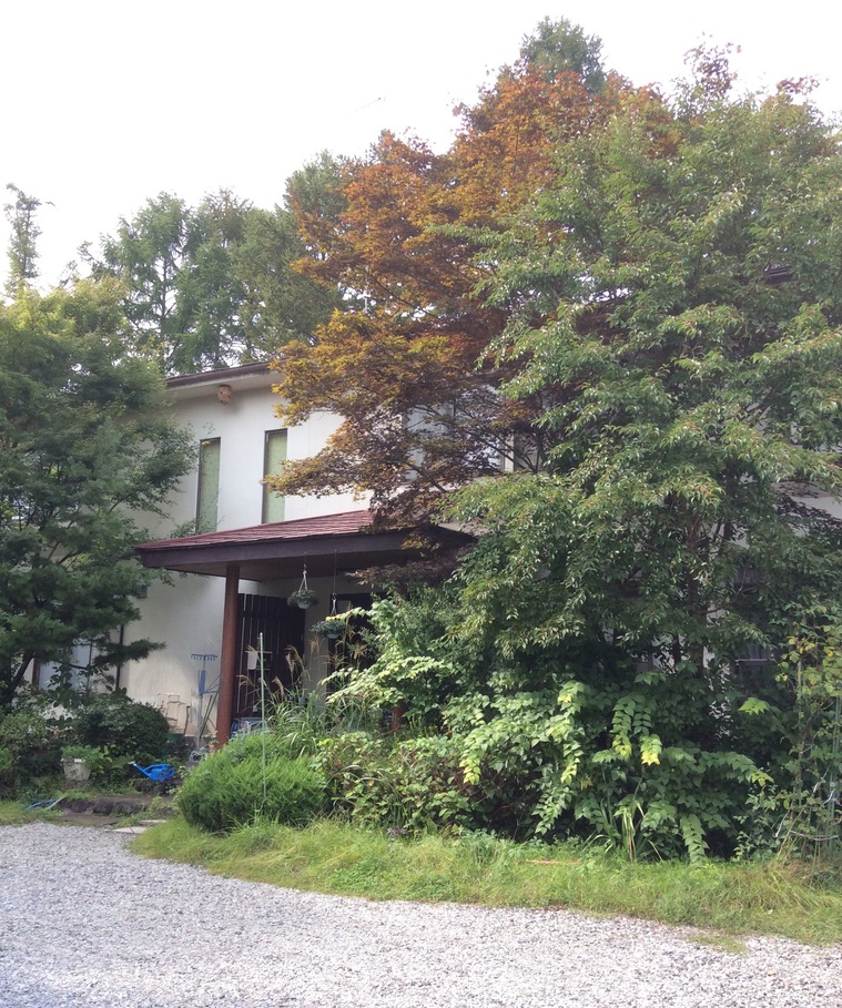 しなのやの写真1