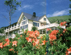 リゾートインライムライトの写真1