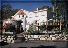 フォレスト イン モーグルの写真1