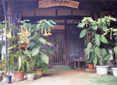 民宿 ゆりかの写真1