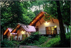 森の小さなリゾート村 桜清水コテージの写真1