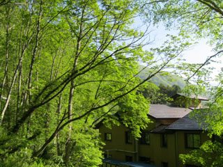 中の湯温泉旅館の写真1