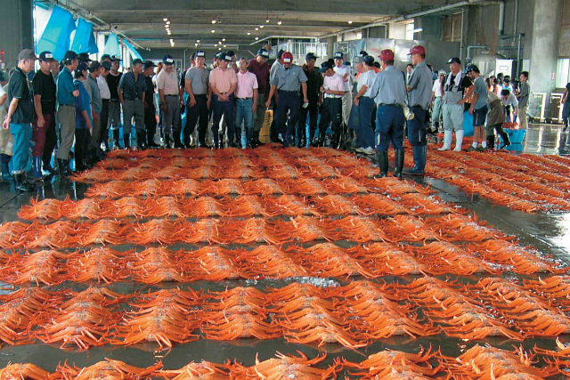 富山県観光連盟の写真1