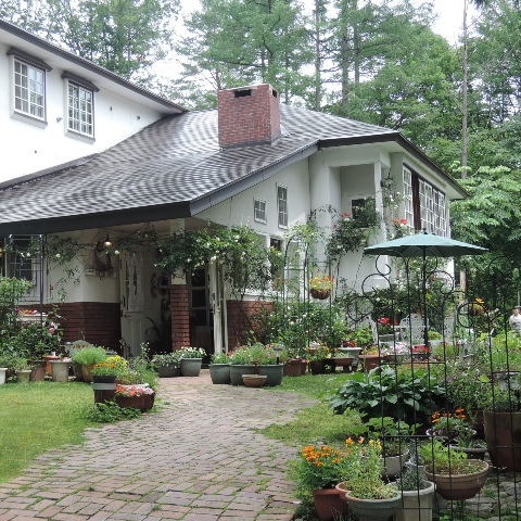 高原の小さなホテル コットンスノーの写真1