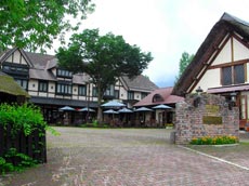 白馬山麓 シェイクスピアホテルの写真1