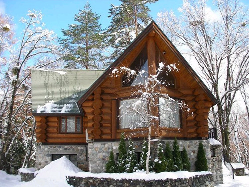 白馬カナディアンロッジの写真1