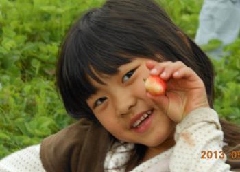 空と大地の丘 森本農園の写真1