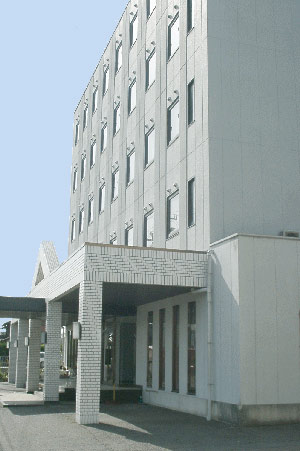 ビジネスイン ミナミの写真1