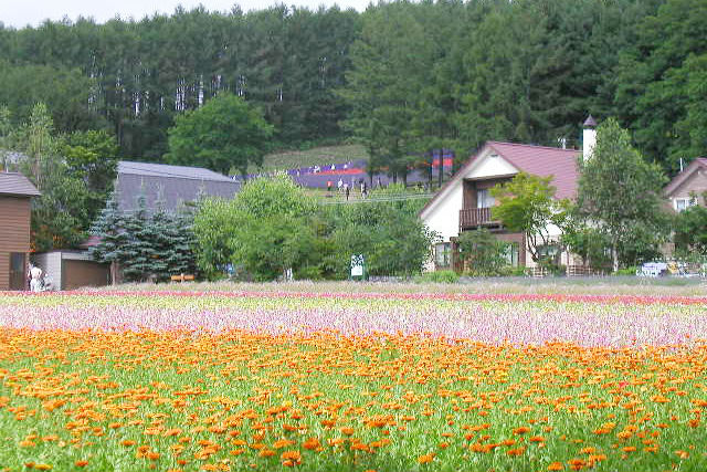 北海道ジャンボタクシー観光の写真1