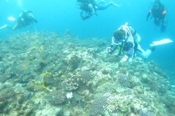 ワイズダイビングサポートの写真1