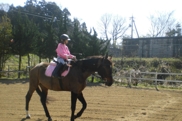 乗馬倶楽部 パ・ドゥドゥの写真1
