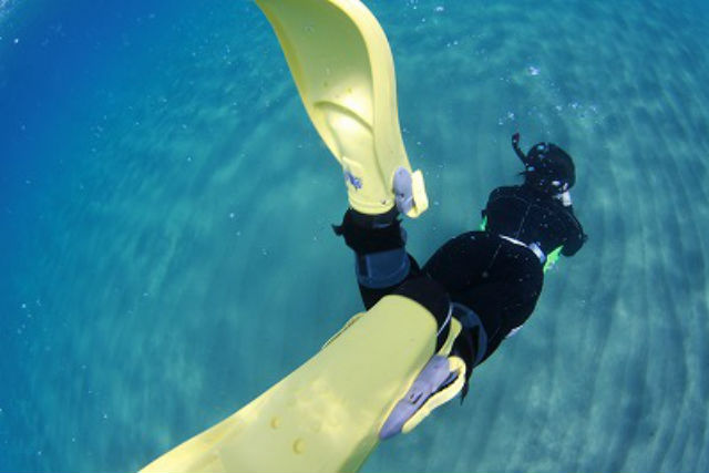 アクアマリン福井店の写真1