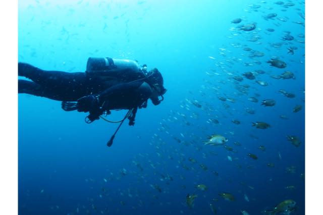 若狭高浜ダイビングサービス 遊ダイブの写真1
