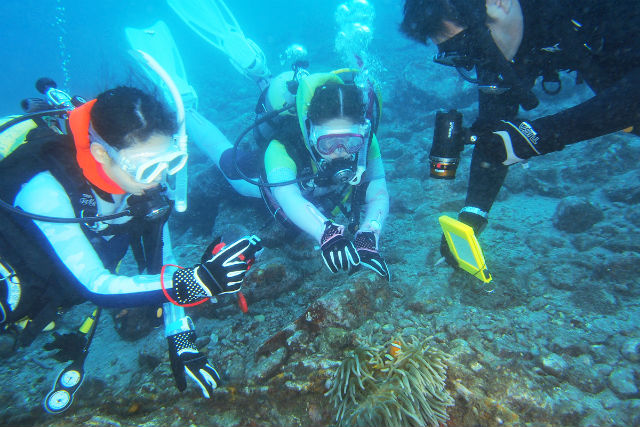 ディーポックの写真1