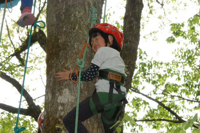 奥越前まんまるサイトの写真1