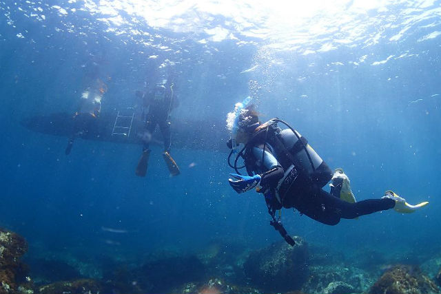 Otomi Baseの写真1