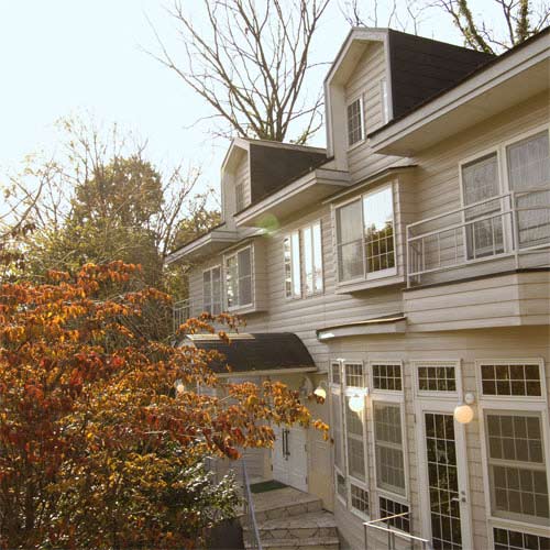 愛犬癒しの宿 Dog’s dayの写真1