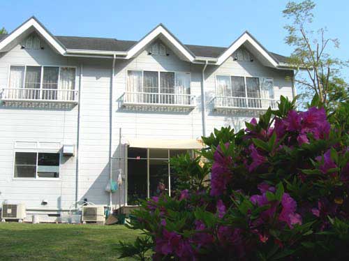 癒やしのわんこ宿 にこまめちの写真1